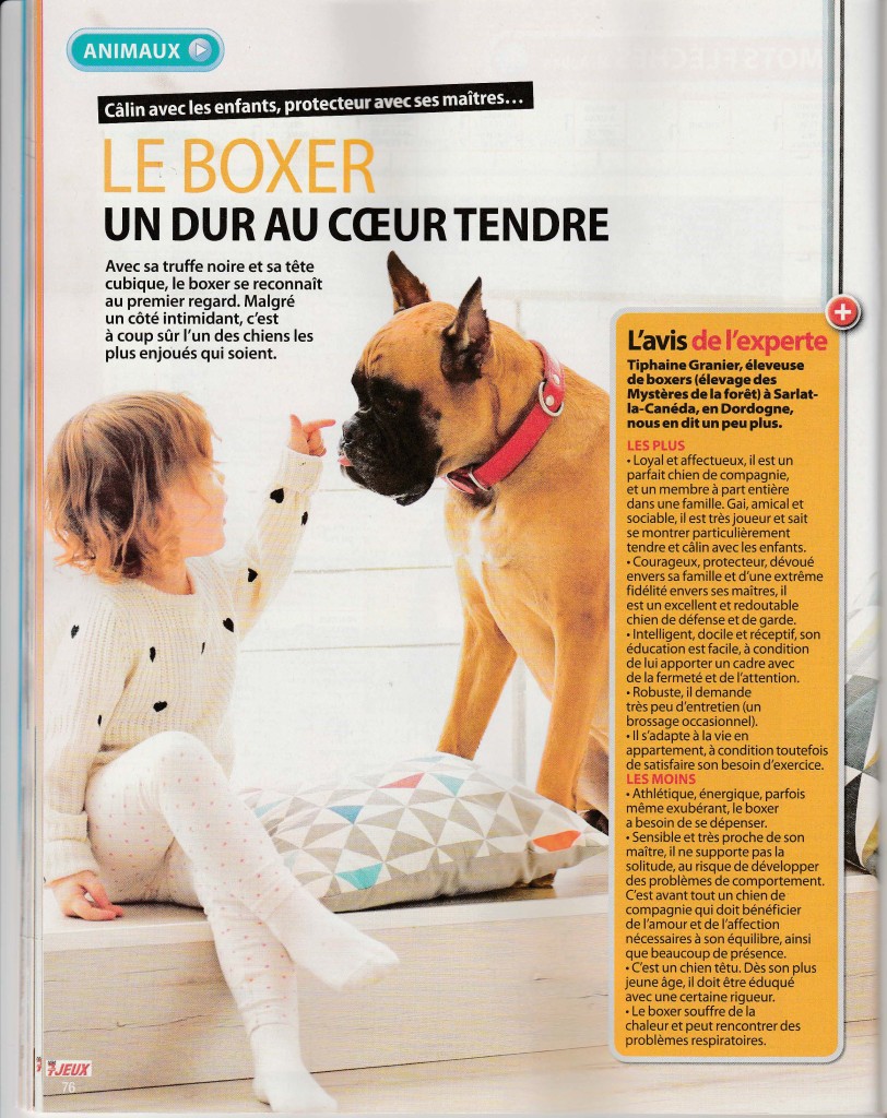 Article Boxer dans Télé 7 Jours > Des Mystères de la Forêt